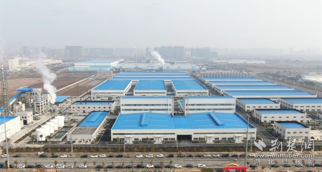 園區(qū)企業(yè)。記者 魯偉龍 攝.webp.jpg
