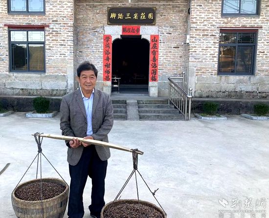 何道關(guān)與自己種的油茶果。黃錚 攝_副本.jpg.jpg