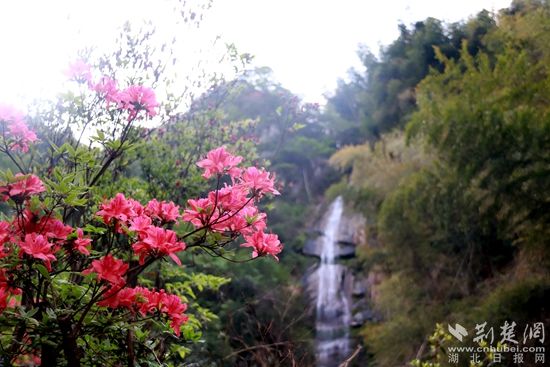 黃龍山頂，風(fēng)景如畫 黃錚 攝_副本.jpg.jpg